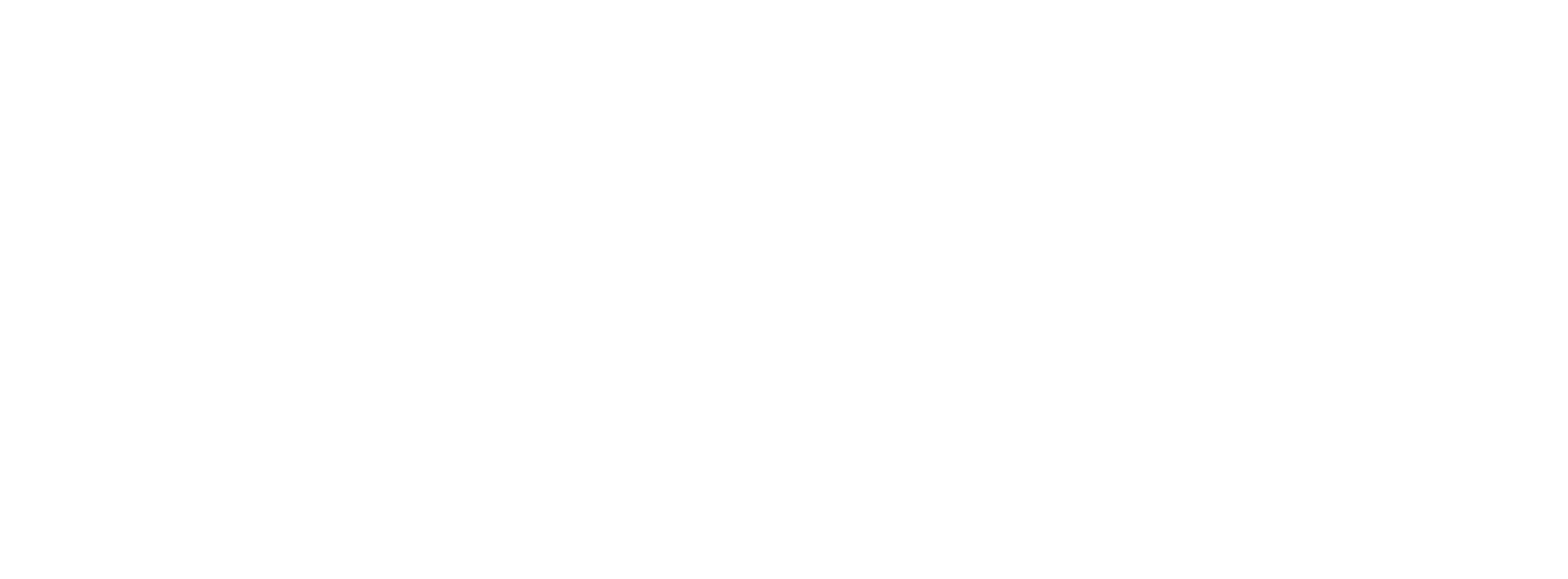 WHITE LOGO